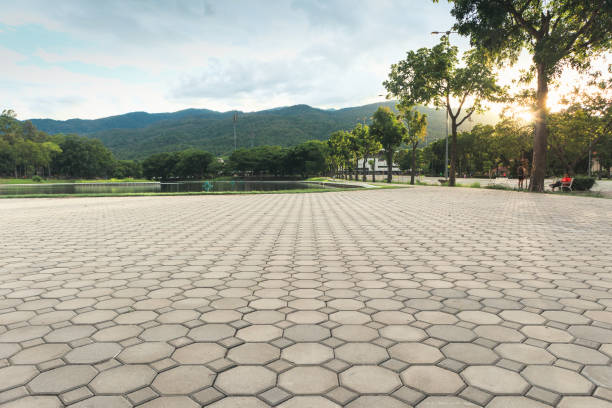 Best Decorative Driveway Pavers  in Carl Junction, MO